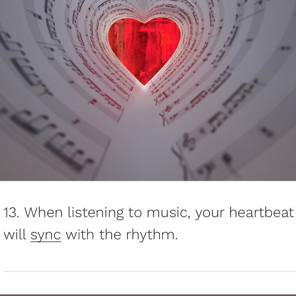 🐿# 2 Like NEW FOLLOW GAME-listing #3 🐿 - Picture 7 of 16